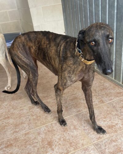 e7d3a2e8-d8ee-4f67-b06f-04415c93e79e e7d3a2e8-d8ee-4f67-b06f-04415c93e79e