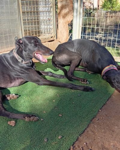 ff3b02ff-2280-441c-9592-e9c0debbc4c3