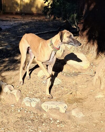 WhatsApp Image 2026-01-08 at 20.28.49 (1)