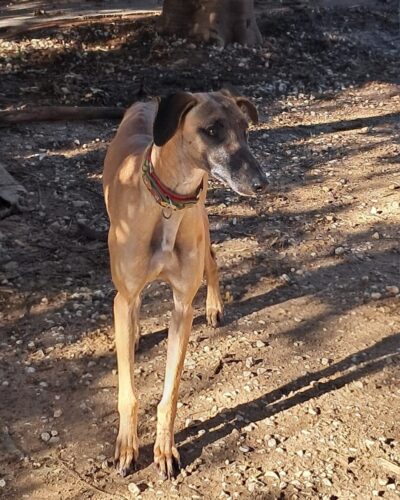 WhatsApp Image 2026-01-08 at 20.28.49