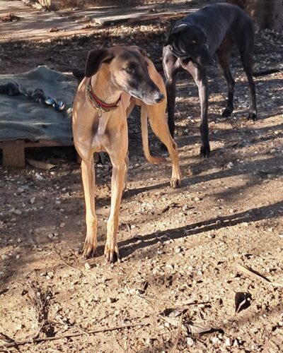 WhatsApp Image 2026-01-08 at 20.28.50 (1)