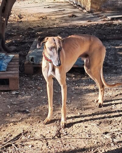 WhatsApp Image 2026-01-08 at 20.28.50 (3)