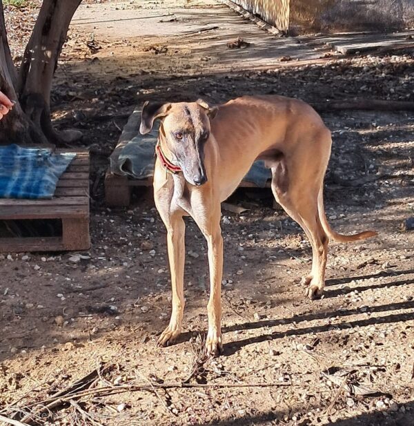 WhatsApp Image 2026-01-08 at 20.28.50 (3)