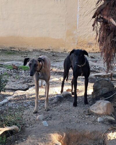 WhatsApp Image 2026-01-08 at 20.31.37 (2)