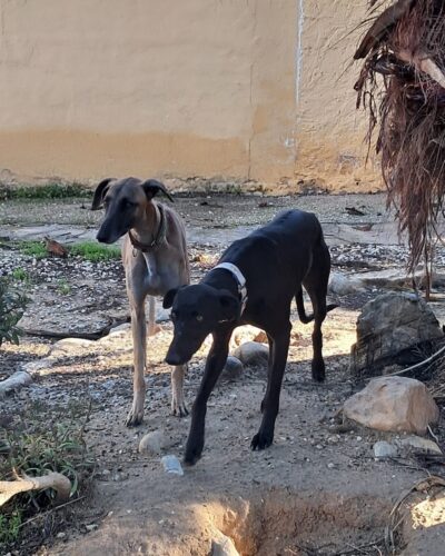 WhatsApp Image 2026-01-08 at 20.31.37 (3)