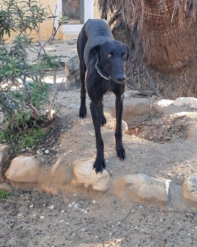 WhatsApp Image 2026-01-08 at 20.31.37