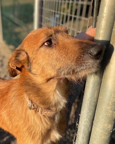 WhatsApp Image 2026-01-09 at 23.20.52 (3)