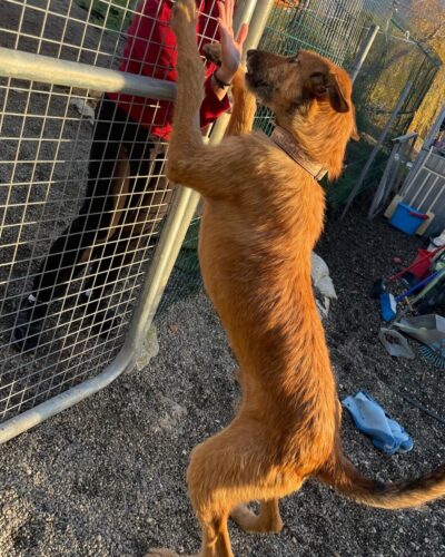 WhatsApp Image 2026-01-09 at 23.20.52 (4)