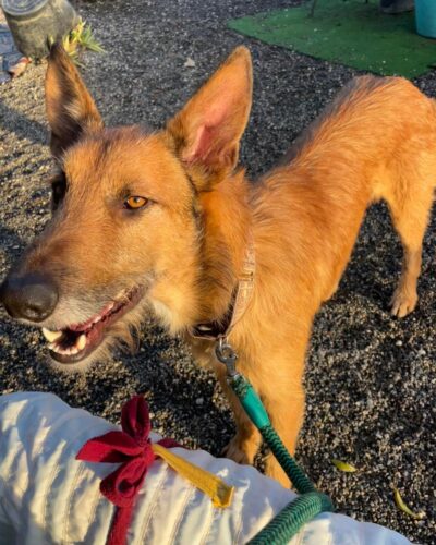 WhatsApp Image 2026-01-09 at 23.20.53 (1)