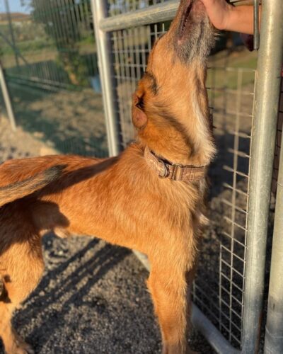 WhatsApp Image 2026-01-09 at 23.20.53 (2)