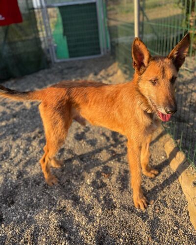 WhatsApp Image 2026-01-09 at 23.20.53 (3)