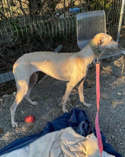 WhatsApp Image 2026-01-09 at 23.22.37