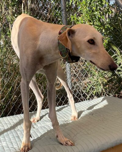 WhatsApp Image 2026-01-09 at 23.22.38