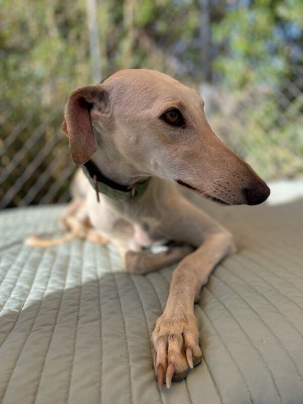 WhatsApp Image 2026-01-09 at 23.22.38 (5)