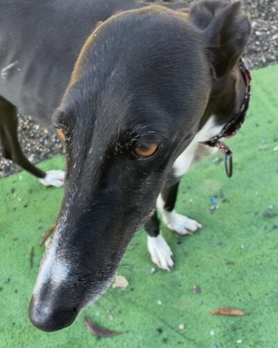 WhatsApp Image 2026-01-09 at 23.23.50