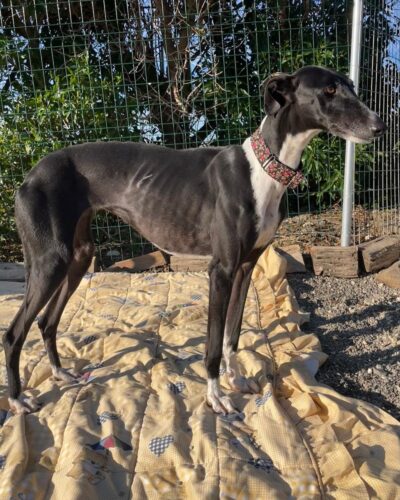 WhatsApp Image 2026-01-09 at 23.23.51 (2)