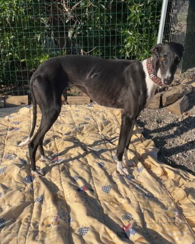 WhatsApp Image 2026-01-09 at 23.23.51