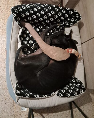 WhatsApp Image 2026-01-09 at 23.27.04 (2)