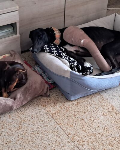 WhatsApp Image 2026-01-09 at 23.27.05 (3)