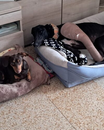 WhatsApp Image 2026-01-09 at 23.27.05