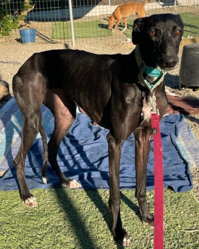 WhatsApp Image 2026-01-13 at 16.35.32 (2)