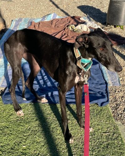 WhatsApp Image 2026-01-13 at 16.35.33 (1)