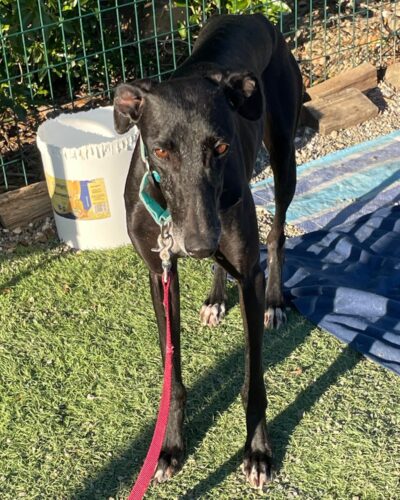 WhatsApp Image 2026-01-13 at 16.35.33 (2)