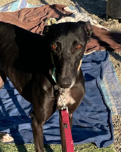 WhatsApp Image 2026-01-13 at 16.35.33