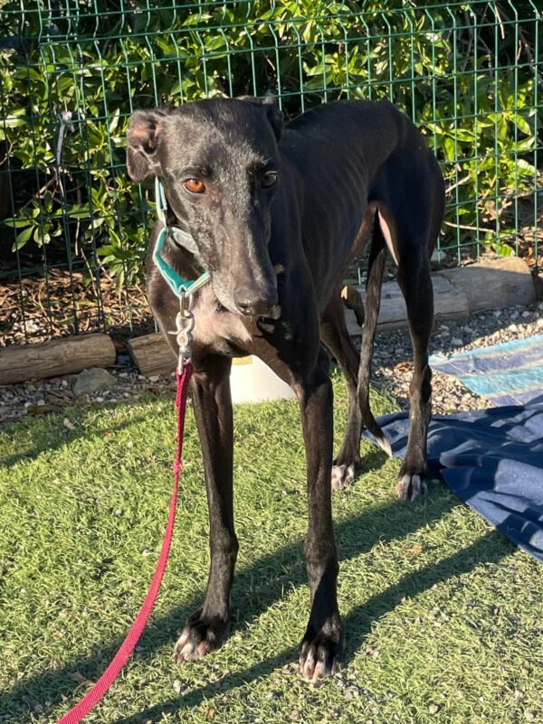 WhatsApp Image 2026-01-13 at 16.35.33 (5)