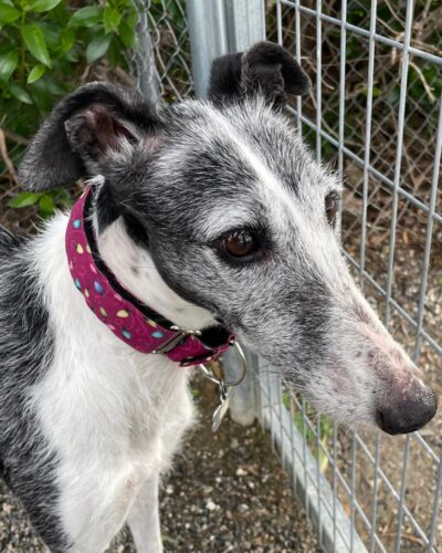 WhatsApp Image 2026-01-30 at 00.27.19 (2)