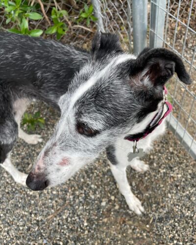 WhatsApp Image 2026-01-30 at 00.27.19 (3)