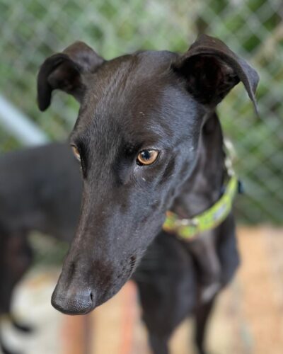 WhatsApp Image 2026-01-30 at 00.30.02 (1)