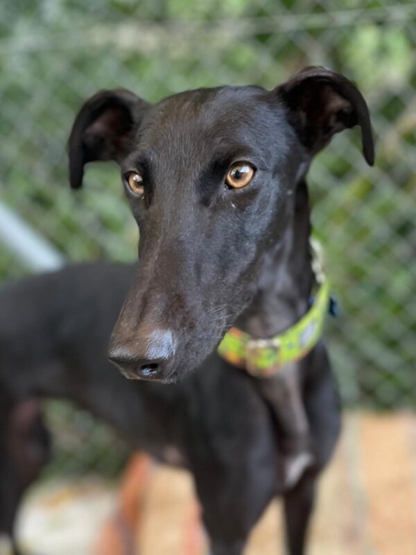 WhatsApp Image 2026-01-30 at 00.30.02 (2)