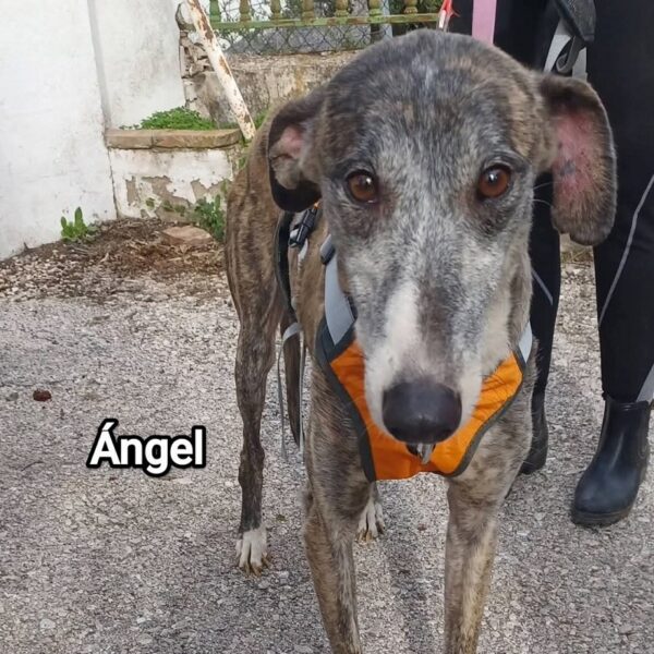 WhatsApp Image 2026-01-30 at 00.47.02