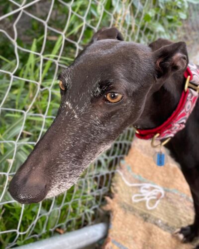 WhatsApp Image 2026-01-30 at 00.47.43 (2) WhatsApp Image 2026-01-30 at 00.47.43 (2)