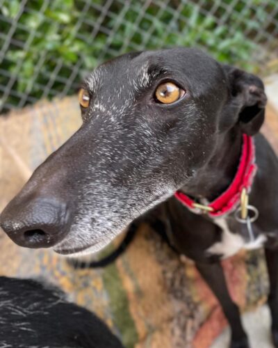 WhatsApp Image 2026-01-30 at 00.47.43 (4) WhatsApp Image 2026-01-30 at 00.47.43 (4)