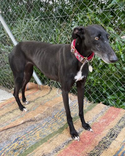 WhatsApp Image 2026-01-30 at 00.47.44 (1) WhatsApp Image 2026-01-30 at 00.47.44 (1)