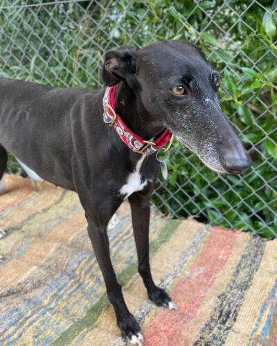 WhatsApp Image 2026-01-30 at 00.47.45 (1) WhatsApp Image 2026-01-30 at 00.47.45 (1)