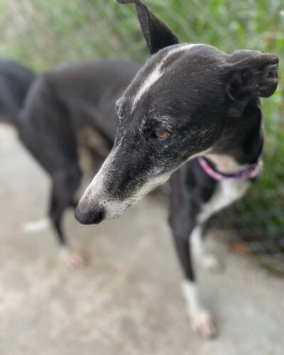 WhatsApp Image 2026-01-30 at 00.48.25 (1)