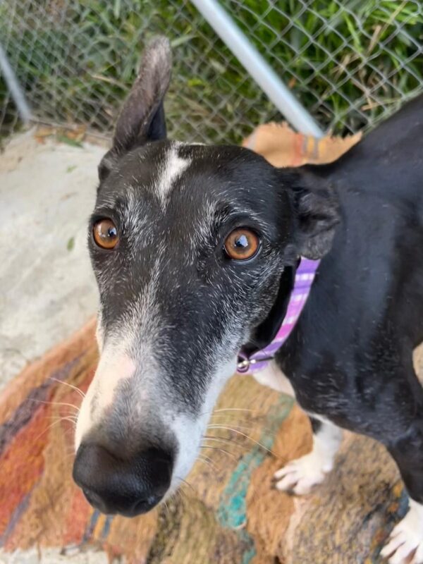 WhatsApp Image 2026-01-30 at 00.48.28 (2)