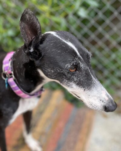 WhatsApp Image 2026-01-30 at 00.48.28 (3)