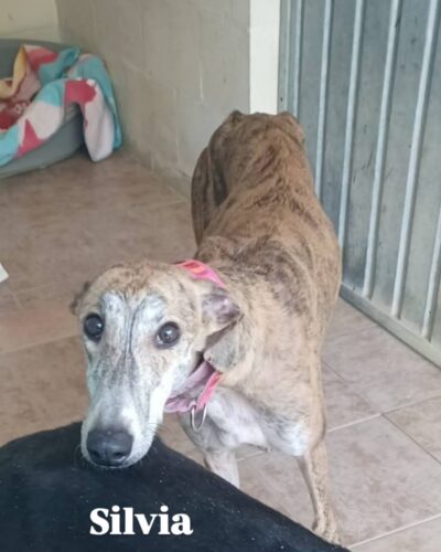 WhatsApp Image 2026-02-10 at 22.45.27