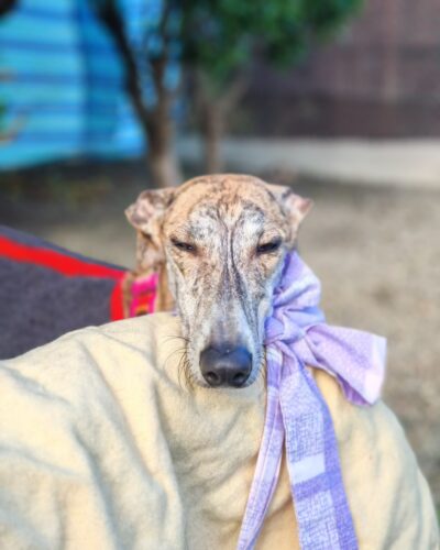 WhatsApp Image 2026-02-10 at 22.45.28 (3)