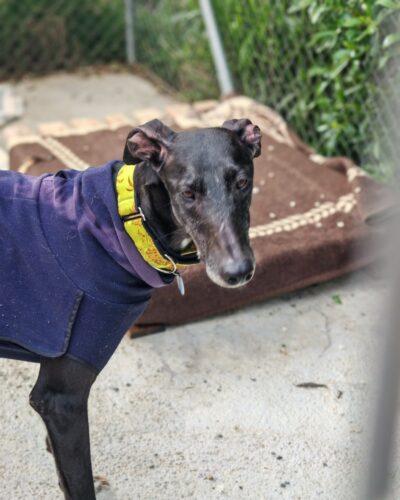 WhatsApp Image 2026-02-10 at 22.46.58 (1) WhatsApp Image 2026-02-10 at 22.46.58 (1)