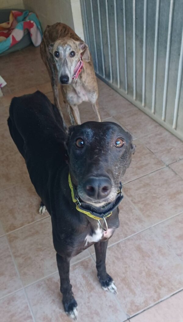 WhatsApp Image 2026-02-16 at 02.38.13