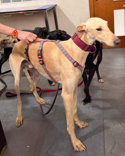 WhatsApp Image 2026-02-16 at 02.44.46 WhatsApp Image 2026-02-16 at 02.44.46