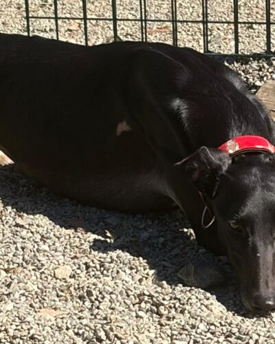 WhatsApp Image 2026-02-17 at 15.37.20 (1)