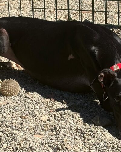 WhatsApp Image 2026-02-17 at 15.37.21