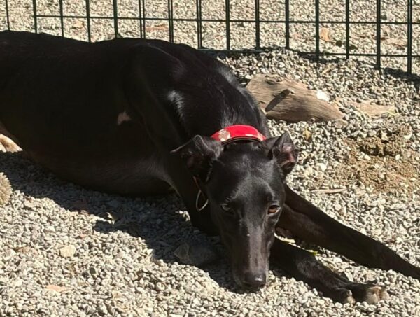 WhatsApp Image 2026-02-18 at 01.11.18