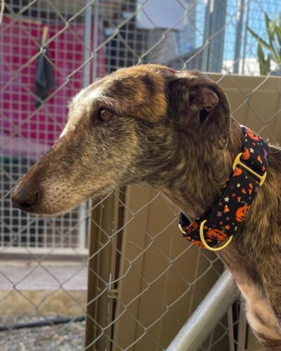 WhatsApp Image 2026-02-20 at 17.59.16 (2)